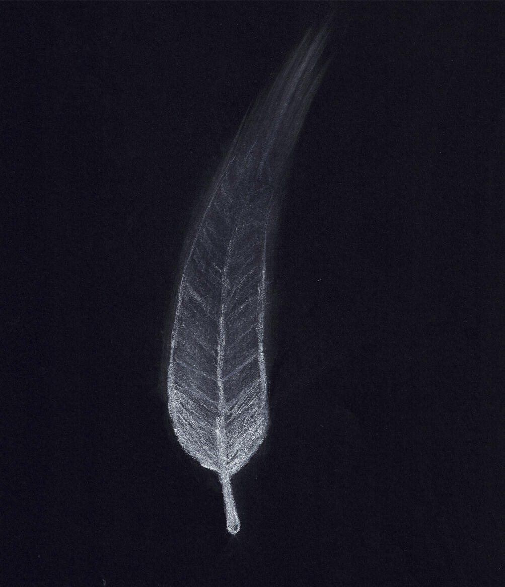 Dead Leaf - Pencil and conte illustration of a leaf